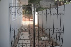 DSCF8131